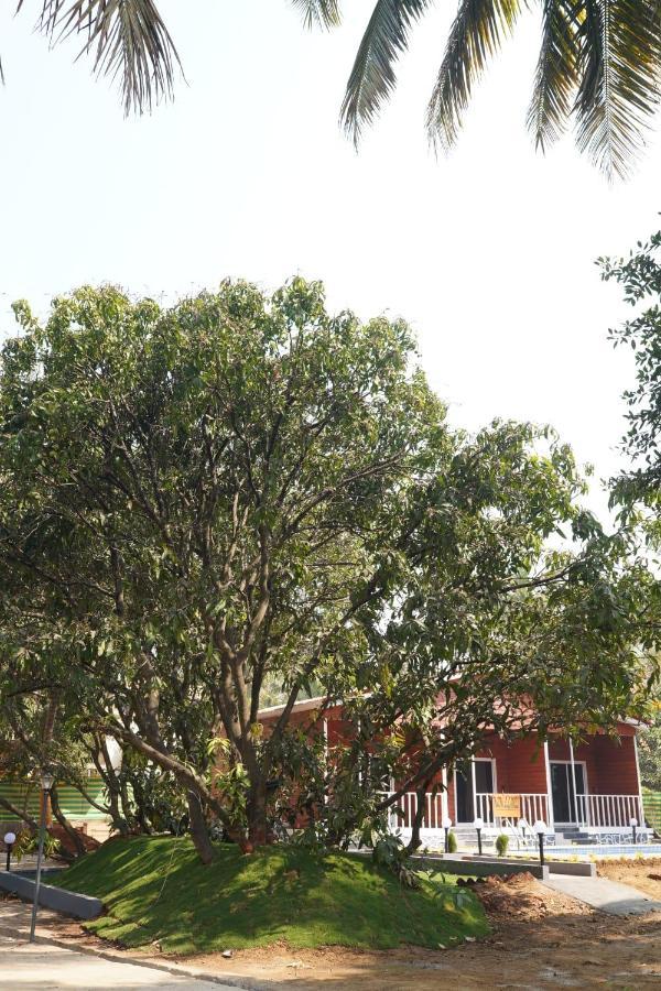 The Mango Leaf *